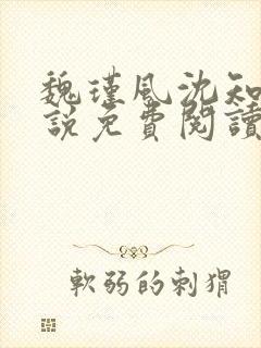 魏瑾风沈知玉小说免费阅读最新章节