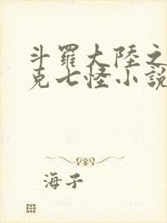 斗罗大陆之史莱克七怪小说