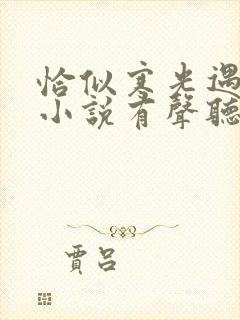 恰似寒光遇骄阳小说有声听书免费