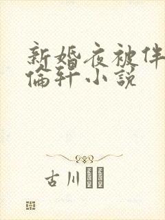 新婚夜被伴郎强伦轩小说
