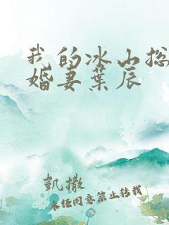 我的冰山总裁未婚妻叶辰