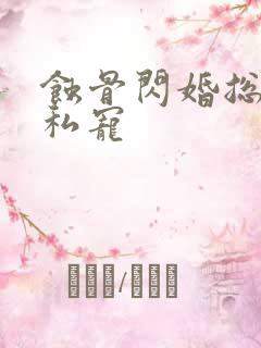 蚀骨闪婚总裁的私宠