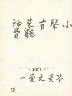 神墓有声小说免费听