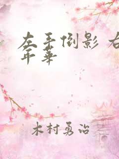 左手倒影 右手年华