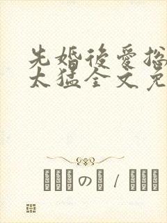先婚后爱总裁别太猛全文免费阅读