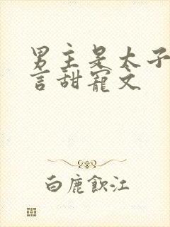 男主是太子的古言甜宠文