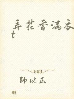 弄花香满衣txt