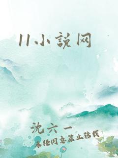 11小说网
