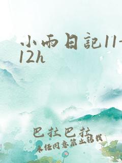 小雨日记11-12h