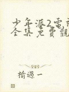 少年派2电视剧全集免费观看完整版