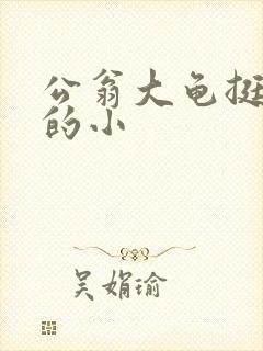 公翁大龟挺进我的小