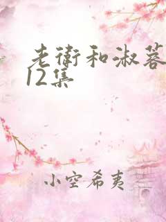 老卫和淑蓉7—12集