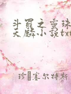 斗罗之灵珠神剑天麟小说txt下载全集