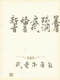 新婚夜残暴王爷看着我洞房