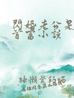 闪婚老公是千亿首富小说