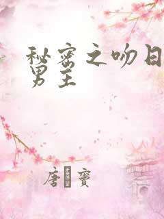 秘密之吻日剧双男主