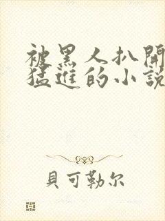 被黑人扒开双腿猛进的小说