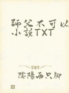 师父不可以灵犀小说TXT