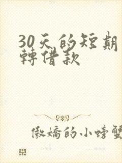 30天的短期周转借款