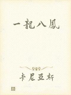一龙八凤