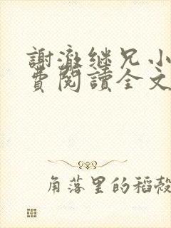 谢澈继兄小说免费阅读全文无弹窗