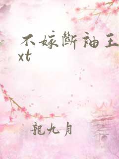 不嫁断袖王爷txt