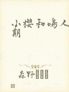 小樱和鸣人的假期