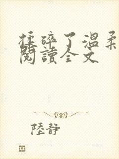 揉碎了温柔小说阅读全文