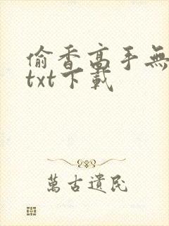 偷香高手无删减txt下载