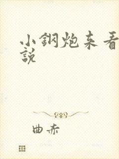 小钢炮来看我小说