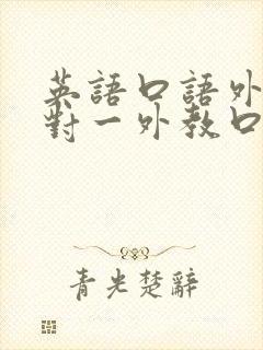 英语口语外教一对一外教口语培训