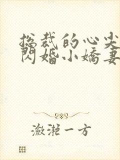 总裁的心尖宠是闪婚小娇妻