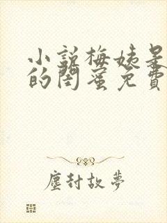 小说梅姨是小妈的闺蜜免费阅读