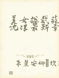 美女总裁苏若雪沈浪最新章节