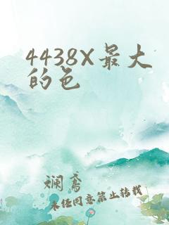 4438X最大的色