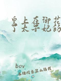 皇上在御花园c了太子妃的网剧