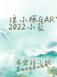 浪小辉GARY2022小蓝