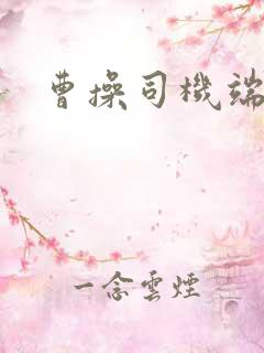 曹操司机端电话