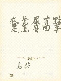 感觉尿有点浑浊是怎么回事