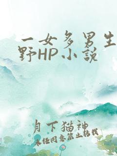 一女多男生活狂野HP小说