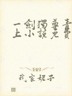 一剑独尊青鸾峰上小说免费阅读