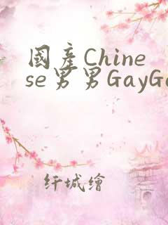 国产Chinese男男GayGayAPP