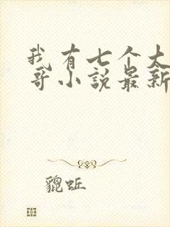 我有七个大佬哥哥小说最新章节