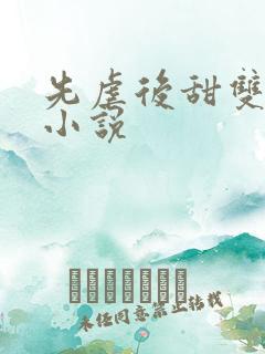 先虐后甜双男主小说