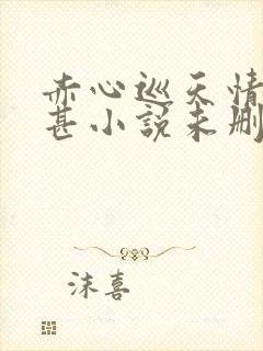 赤心巡天情何以甚小说未删版完整