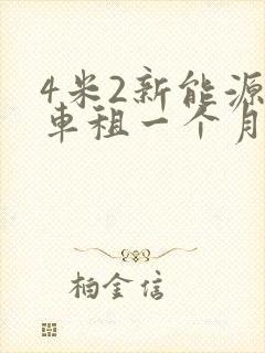 4米2新能源货车租一个月多少钱