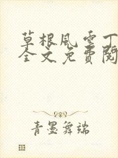 草根风云丁长生全文免费阅读