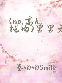(np,高h,纯肉)男男文