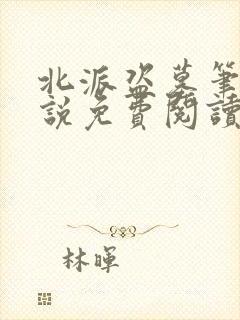 北派盗墓笔记小说免费阅读免费