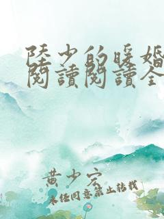 陆少的暖婚新妻阅读阅读全文